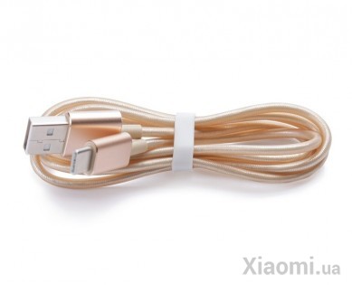 Кабель USB Type-C 120 см Gold (SJV4064TY)